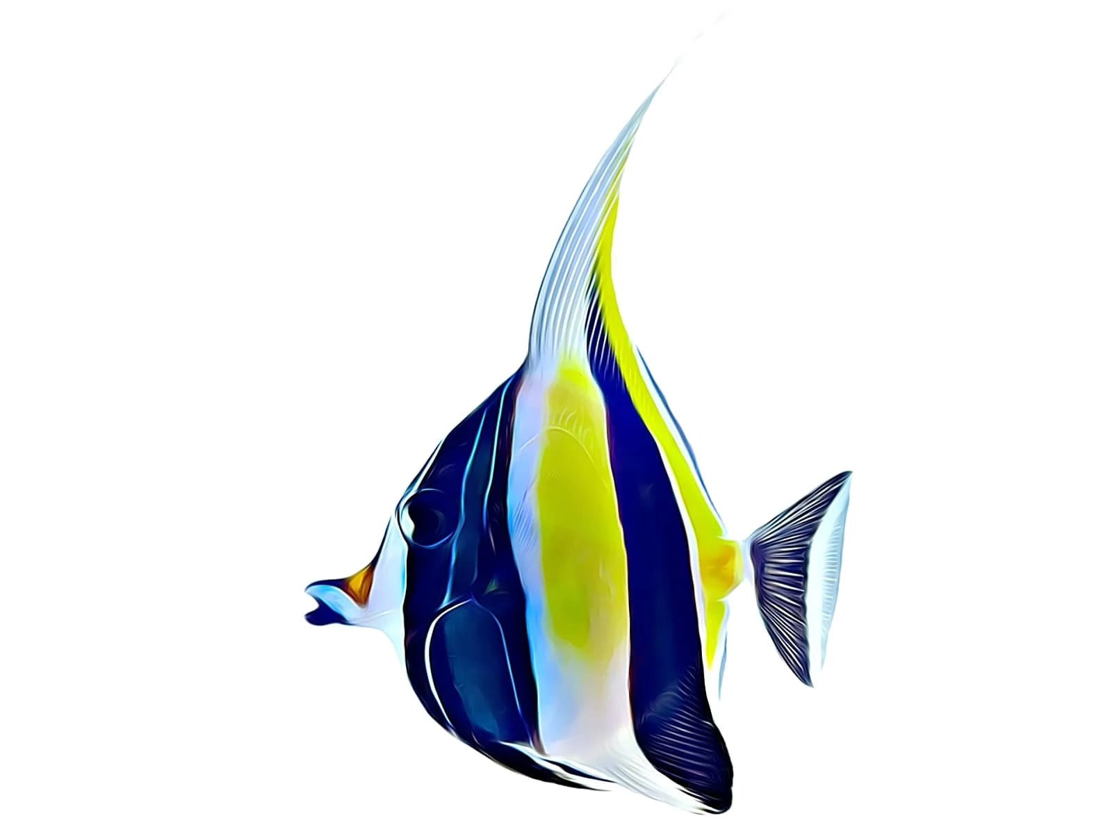 Misc Fish – Reef Pro