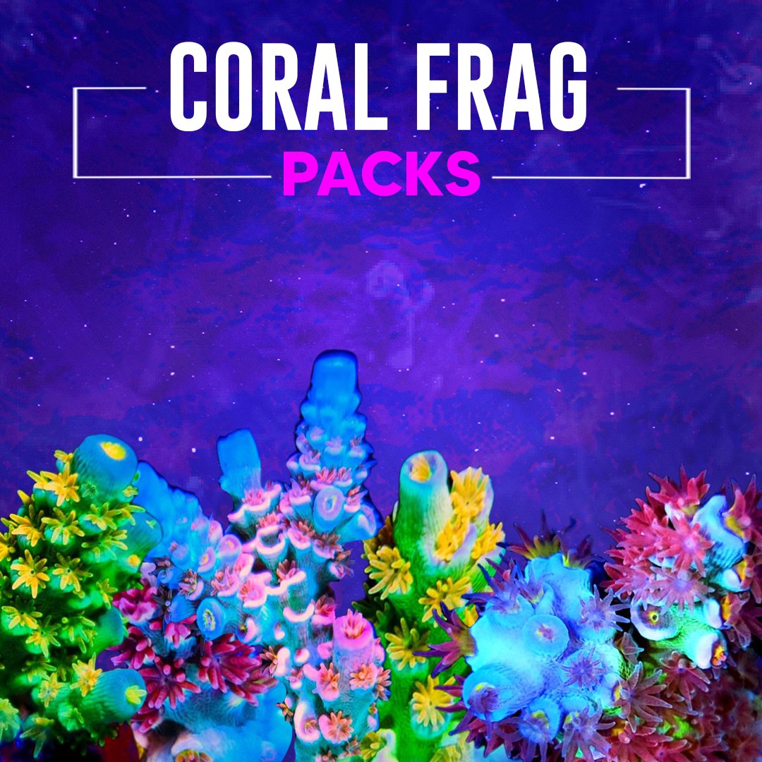 Coral Frag Packs