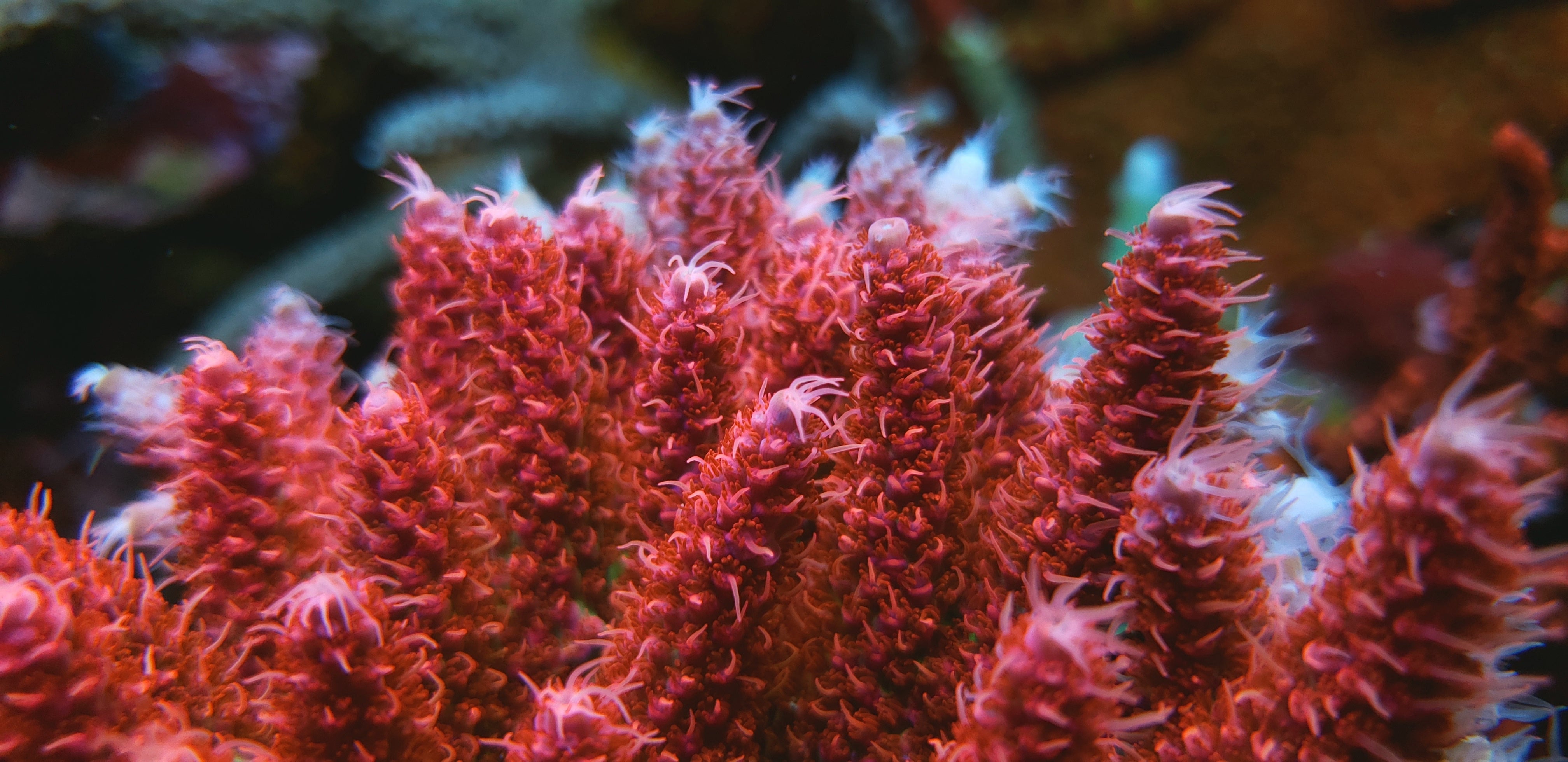 20220627_140401.jpg?v=1676161396