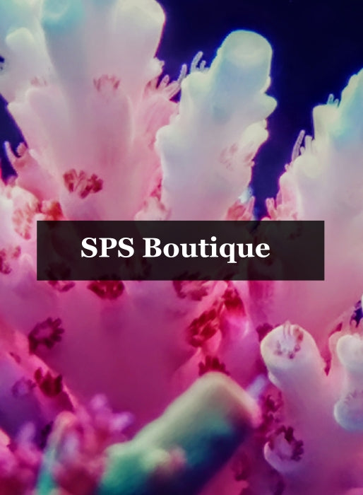 SPS Boutique