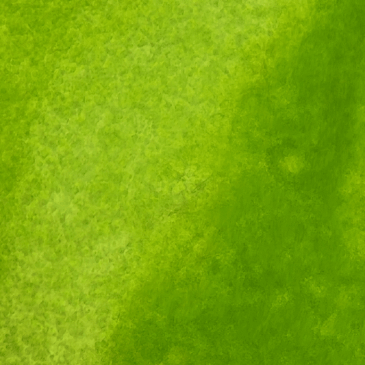 Reef Pro Phytoplankton