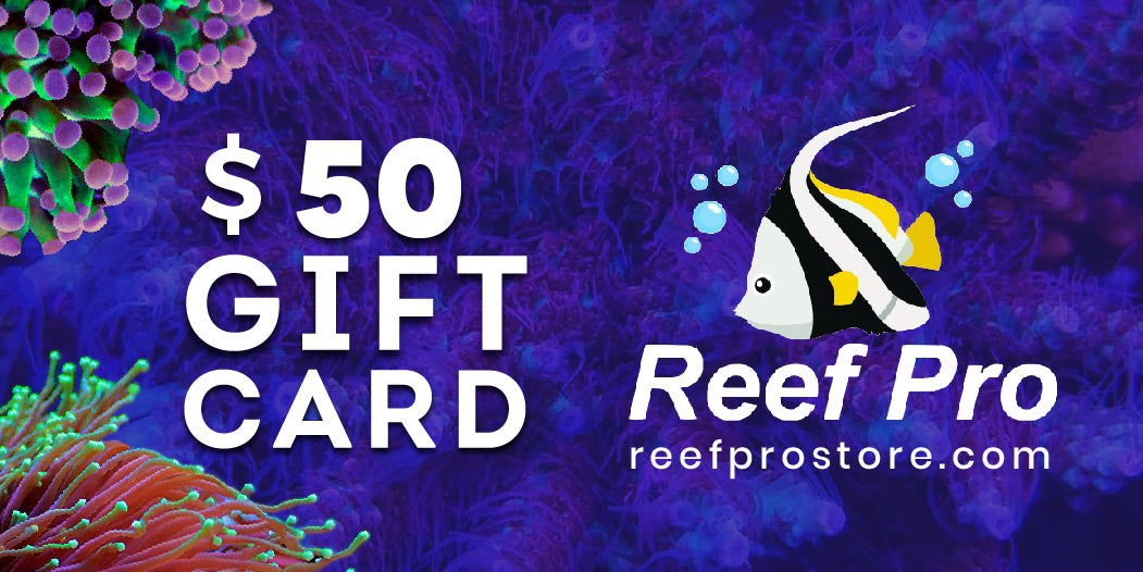 Reef Pro Gift Card